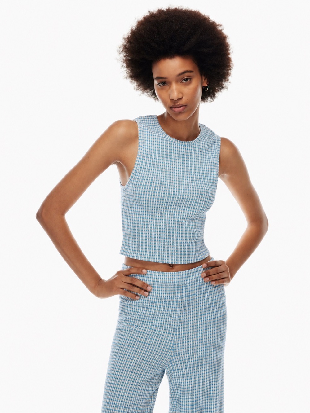 Aritzia Wilfred Véronica Gingham Sleeveless Blue Tweed Crop Top
